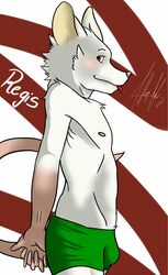 boxers bulge femboy fur furry furry_only male mammal mice mouse rat siriuswolfus solo