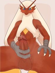 blaziken from nintendo by luto tori