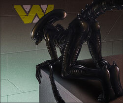 alien alien_(franchise) alien_girl all_fours anus ass backsack black_skin drooling eyeless female female_xenomorph logo looking_back monster open_mouth presenting presenting_hindquarters pussy raised_tail saliva sheath solo teeth weyland_yutani xenomorph zen