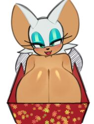 rouge the bat from sega by grimy291