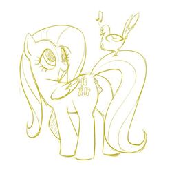 anus ass avian bird darkpandax duo edit equine female feral fluttershy_(mlp) friendship_is_magic horse mammal monochrome my_little_pony pegasus pony pussy simple_background sketch white_background wings