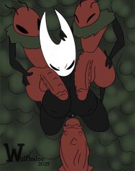 hornet (hollow knight) from hollow knight by wolfbaloo