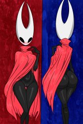 hornet (hollow knight) from hollow knight by anorexicus