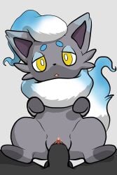 absurd_res blue_body blue_fur clitoral_hood clitoris colored duo eyelashes faceless_character faceless_human faceless_male female feral first_person_view fur generation_5_pokemon generation_8_pokemon genitals grey_body grey_fur hi_res hind_legs hisuian_form hisuian_zorua human humanoid_genitalia humanoid_penis looking_at_viewer male mammal mii2sii multicolored_body multicolored_fur nintendo open_mouth penis pokemon pokemon_(species) regional_form_(pokemon) shaded shiny_pokemon spread_legs spreading vaginal_penetration white_body white_fur yellow_eyes zorua