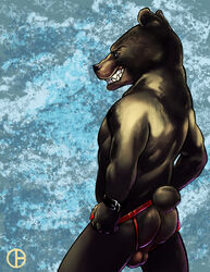 1boy anthro ass backsack balls bear black_bear clothing dbruin grin jockstrap looking_at_viewer looking_back male male_only mammal muscles naughty_face perineum rear_view sharp_teeth signature solo teeth underwear underwear_pull