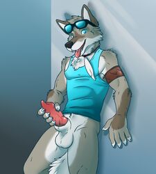 1boy aggrobadger animal_genitalia anthro balls canine clothed clothing coyote erection eyewear fur glasses half-dressed looking_at_viewer male male_only mammal masturbation muscles open_mouth pecs penis sharp_teeth shirt smile solo standing teeth tongue tongue_out vein veiny_penis