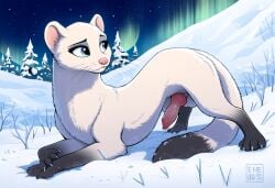 ai_generated anatomically_correct_genitalia blue_eyes cookie-girl feral feral_only northern_lights snow weasel