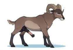 ai_generated anatomically_correct_penis bighorn_sheep cookie-girl feral feral_only hooves horns proud proud_of_his_cock quadruped