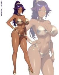 shihouin yoruichi from bleach by kaos art
