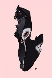 2023 anthro ass barbell_piercing bedroom_eyes belly_nipples bisque_(interkos) black_body black_fur cheek_tuft chest_tuft circle_eyebrows circular_barbell_piercing claws dipstick_ears ear_markings ear_piercing ear_ring eyebrows facial_piercing facial_tuft female floppy_ears fur gauged_ear gradient_markings grey_markings half-length_portrait hand_on_leg hand_on_thigh head_tuft hi_res interkos lagomorph leaning leaning_forward leporid looking_at_viewer looking_back lop_ears mammal markings multicolored_ears multiple_piercings narrowed_eyes nipples nonbinary_(lore) nose_piercing nose_ring nude piercing pink_background pink_claws pink_eyes pink_nipples pink_nose portrait rabbit ring_piercing rose_gold seductive septum_circular_barbell septum_piercing short_tail simple_background sketchy slim solo tail trans tuft white_butt white_ear_tips white_eyebrows white_markings