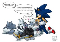 sonic the hedgehog from sega by omegazuel