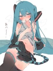 hatsune miku from vocaloid by bunchi
