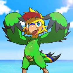 1boy alternate_version_available anthro avian balls beach beak bird blush circumcised erection front_view gesture headgear humanoid_penis looking_at_viewer male male_only nakayan naughty_face nude open_mouth outside parakeet penis pose seaside small_penis solo winged_arms wings