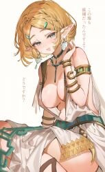 princess zelda from breath of the wild by shuri (84k)