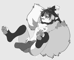 2015 anthro blush bulge canine clothed clothing collar disembodied_foot eyewear faxy fondling fox fur glasses hair half-dressed heart male mammal open_mouth panties roanoak spreading tongue topless underwear white_fur