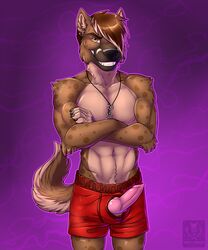 1boy anthro biceps canine clothed clothing erection fur hair half-dressed husky hybrid hyena hyusky knot looking_at_viewer male male_only mammal manly muscles navel pecs penis purple_background sharp_teeth short_hair shorts smile solo standing teeth vallhund