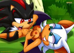 rouge the bat from sega by bbmbbf