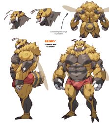 absurd_res antennae_(anatomy) anthro arthropod bee biped bulge hi_res hymenopteran insects male model_sheet muscular muscular_anthro muscular_male navel nipples pecs rear_view solo soonsky_kumu standing tail