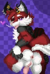 anthro anus avaa_velvet canid canine cuntboy cuntboy_sans_balls digital_media_(artwork) fox genitals herm hermaphrodite intersex male maleherm mammal multi_genitalia penis pixel_(artwork) pussy simple_background solo solo_focus the_shen