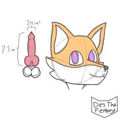 anatomically_correct anatomically_correct_genitalia anatomically_correct_penis animal_genitalia animal_penis anthro balls big_balls big_penis canid canine canine_genitalia canine_penis des_(desthefemboy) desthefemboy disembodied_head disembodied_penis fox fur genitals girly knot low_res male mammal measurement measurements model_sheet nude orange_body orange_fur penis purple_eyes smile smooth_balls smooth_penis solo white_body white_fur