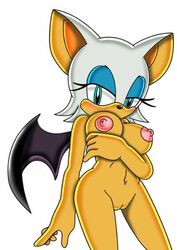 anthro completely_nude furry rouge_the_bat sega sonic_(series) straight_hair tagme zetar02