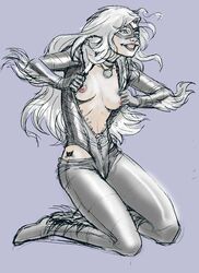 black_cat_(marvel) felicia_hardy female female_only human marvel marvel_comics solo spider-man_(series) straight_hair will_meugniot