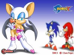 anthro bat boots bottomless cleavage clothes echidna esenkas exposed_torso female footwear fur handwear heart heart_bra_only hedgehog interspecies knuckles_the_echidna male multiple_males nude rouge_bra_only rouge_the_bat sonic_(series) sonic_the_hedgehog sonic_x standing straight_hair tagme wings