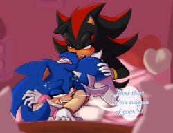 shadow the hedgehog from holidays by ggs busyrn
