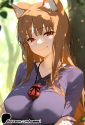 holo from spice and wolf by sunori