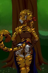 anthro ass clothing color ear_tuft ears_up feline female fur furry furry_only grass hair inviting keidran looking_at_viewer looking_back lycan90 mammal pussy spread_ass spreading standing stripes therie_sah-van tiger tree tuft twokinds