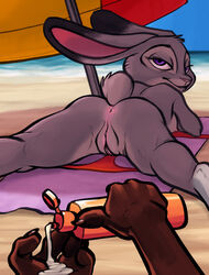 anthro anus ass beach breasts canine disney duo erect_nipples female fox judy_hopps lagomorph looking_at_viewer looking_back maegsker male mammal nipples nude pov presenting presenting_anus presenting_hindquarters presenting_pussy pussy rabbit seaside sideboob small_breasts spread_legs spreading zootopia