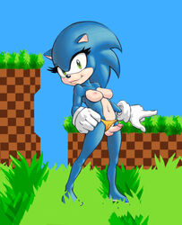 1futa breasts clothing dickgirl erection furry futa_only futanari genderswap gloves hedgehog intersex looking_at_viewer mammal panties panties_aside penis solo solo_futa sonic_(series) sonic_the_hedgehog theother-s underwear