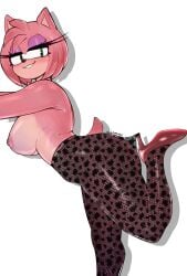 amy rose from sega by hater lly