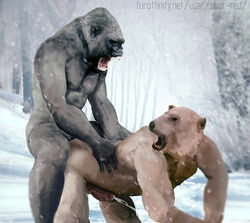 2boys anal anal_penetration anal_sex ape bear boar-red cum cum_while_penetrated doggy_style domination edit forest gorilla interspecies male mammal muscles orgasm penetration photo_manipulation polar_bear primate realistic snow tagme tree winter yaoi