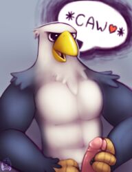 1boy abs anthro avian bald_eagle beak biceps bird eagle humanoid_penis male male_only masturbation muscles open_mouth pecs penis puggy solo