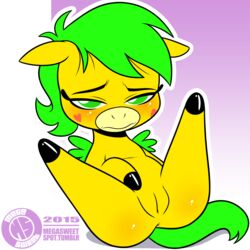 anus ass blush butterbean cutie_mark dc equine female feral fur furry furry_only legs_up mammal megasweet pegasus presenting presenting_pussy pussy solo spread_legs tail teen_titans teen_titans_go wings