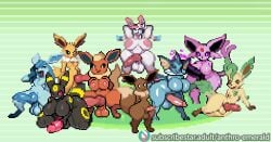 all nine eeveelutions from pokemon by anthroemerald