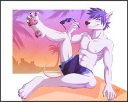 1boy 5_toes abs anthro biceps bulge canine clothing eyewear fur furry furry_only gothwolf male male_only mammal muscles nipples paws pecs penis solo summer sunglasses swimsuit toes