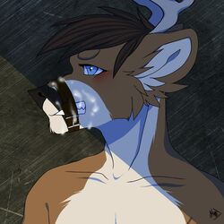 anthro antlers belt black_nose blue_eyes brown_fur brown_hair cervine clenched_teeth cum deer fur hair horn mammal markfish_(artist) nude teeth tzarious white_fur