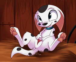 101_dalmatians anus blue_eyes cadpig canine clitoris dalmatian disney female hi_res inviting mammal presenting pussy pussy_juice sitting smitty_g solo spread_legs spread_pussy spreading