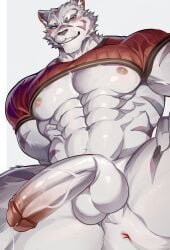 1boy abs animal_ears anus ao_(chung0u0) bara blue_eyes blush claws clenched_teeth crop_top english_commentary fangs flaccid furry furry_male hand_on_own_thigh highres male_focus mercenary_(zero_kara_hajimeru_mahou_no_sho) muscular muscular_male navel nipples pectorals penis precum red_shirt shirt sweat teeth testicles tiger_boy tiger_ears tiger_stripes white_background zero_kara_hajimeru_mahou_no_sho