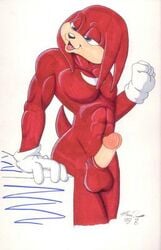 anthro balls clothing echidna fur gloves knuckles_the_echidna male male_only mammal marc_leonhardt monotreme penis purple_eyes solo sonic_(series) tagme