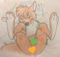 br'er_fox colored_sketch disney fox japanese_text legs_apart open_mouth orange_fur shirt_only song_of_the_south splash_mountain vest