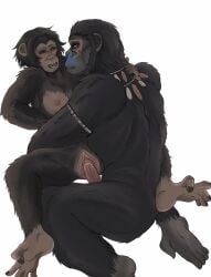 anthro ape blush bodily_fluids bonobo breasts chimpanzee drooling duo erect_penis fan_character feet female fur furry genitals green_eyes haplorhine hi_res lemonxlime looking_at_another male male/female male_focus mammal markings mole_(marking) nipples nude oda_(pota) open_mouth pan_(genus) penetration penis planet_of_the_apes prehensile_feet primate pussy rennu saliva sex simple_background teeth toes vaginal_penetration white_background