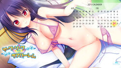 bikini_bottom_removed black_hair blush breasts calendar_(medium) censored cleavage collarbone erect_nipples female highres large_breasts long_hair looking_at_viewer mosaic_censoring navel red_eyes shiwasu_horio smile solo sorimachi_yuriko string_bikini very_long_hair yakusoku_love_harem