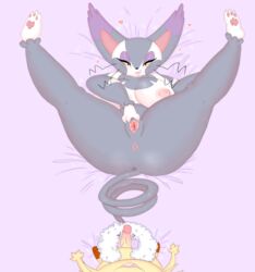 meowth from nintendo by hoshime