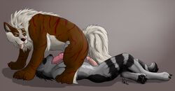 anthro arcanine back crouching fellatio feral interspecies jakethecoon_(character) lying male mammal nintendo on_back oral penis pokemon pokemon_(species) raccoon sex video_games volac_(artist) yaoi ych zoophilia