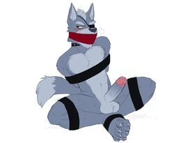 1boy anthro balls blush bound canine collar erection eye_patch eyewear fur gag gagged hicanyoumooforme humanoid_penis male male_only mammal nintendo penis red_eyes simple_background sitting solo star_fox video_games white_background wolf wolf_o'donnell