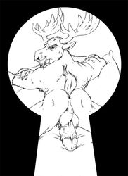 antlers anus ass balls big_penis cervine erection furryrevolution looking_at_viewer male male_only mammal monochrome mooning moose muscles nude penis pillow presenting presenting_hindquarters solo