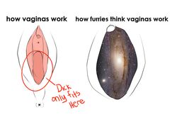 anus clitoris english_text galaxy incorgnito pussy simple_background space text the_truth urethra white_background